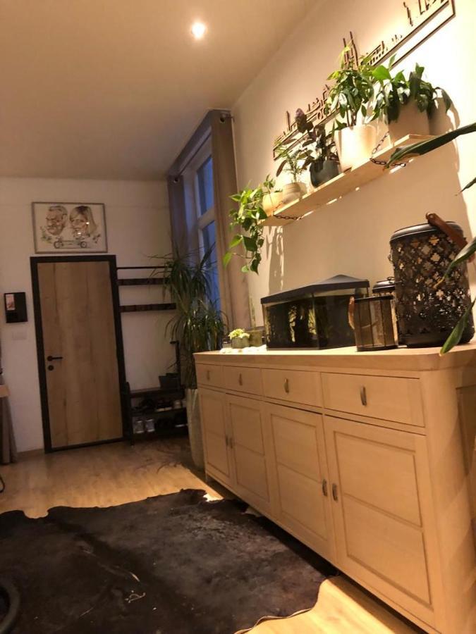 Studio Dream On Met Zonnige Terras Διαμέρισμα Οστένδη Εξωτερικό φωτογραφία
